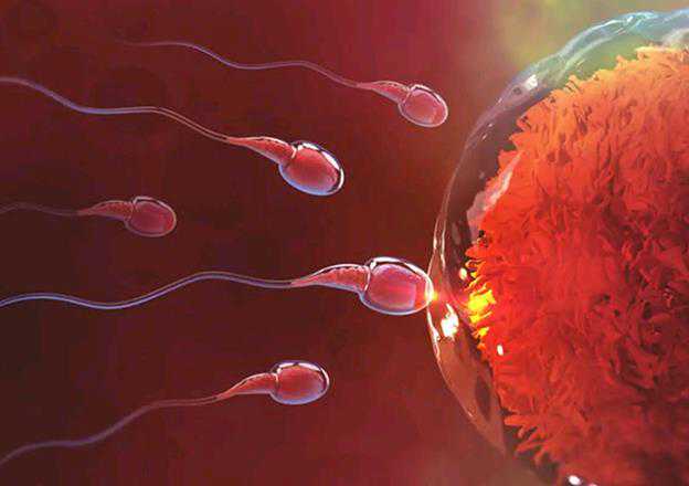 胎停8染色体异常_染色体异常做试管,德州卵巢早衰做三代试管婴儿？