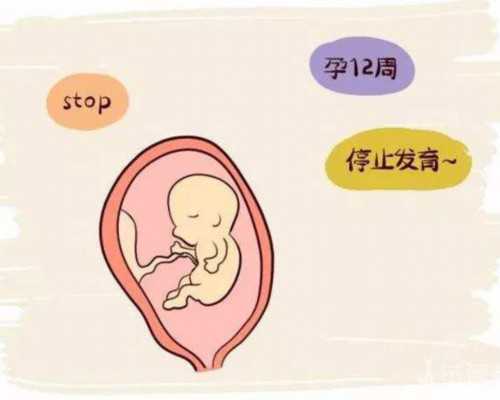 切除子宫会怀孕么_多次人流,榜单精选：铁岭卵巢早衰可以做试管吗