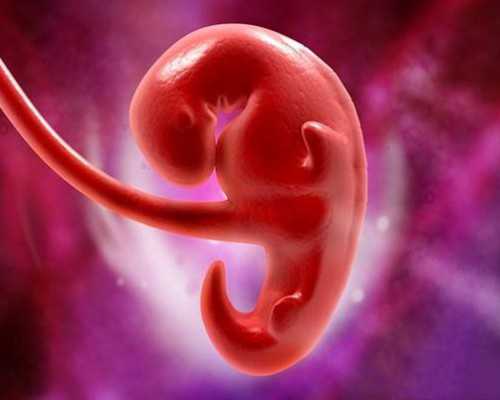子宫颈切除怀孕_因染色体异常流产,庆阳先天性卵巢早衰试管婴儿都失败了怎么