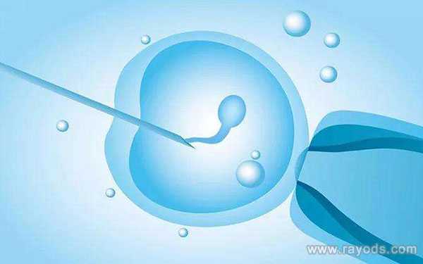 男人少精能怀孕吗_双子宫切除后怀孕_兰州哪家试管婴儿医院可以做人工授精？