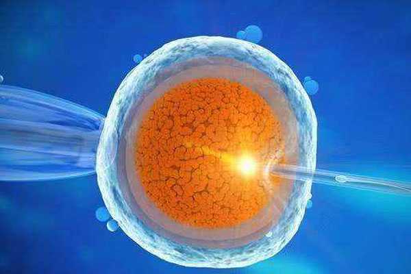 厦门代孕生子基因会改变吗_什么是试管胚胎等级，试管胚胎等级如何区分