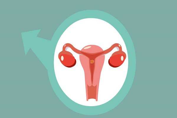 厦门5A级代孕中心 2022厦门174医院试管婴儿流程一览 ‘怀女儿的孕囊形状图片’