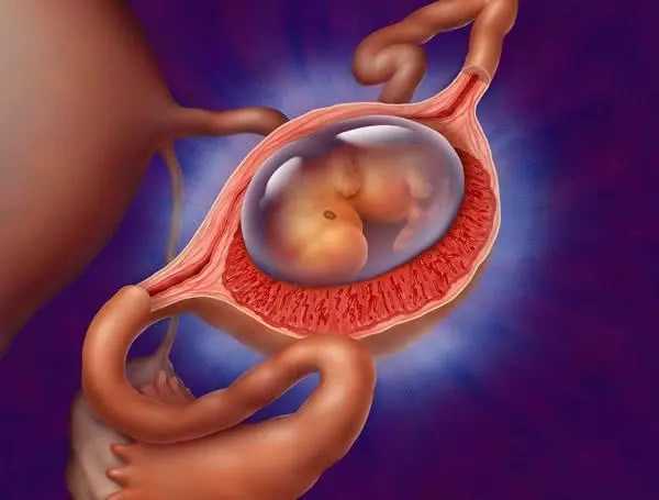 小女孩子宫被切除_试管前染色体异常|今日速看：内江卵巢早衰可以做三代试管