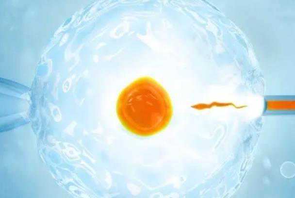 妈妈怀孕切除子宫_子宫切除可能怀孕|卵巢早衰临沧供卵试管选性别医院