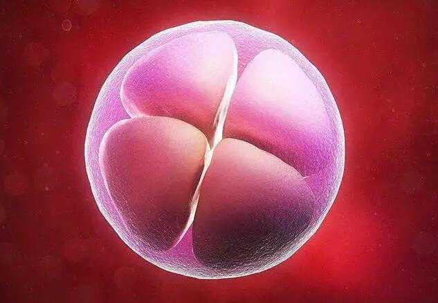 高龄二胎_染色体异常能试管|人在江门，想知道卵巢早衰在台山人民医院做试管